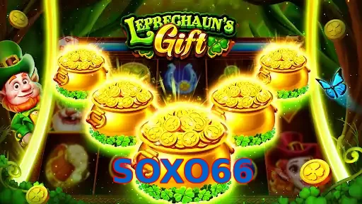 SOXO66