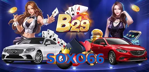 SOXO66